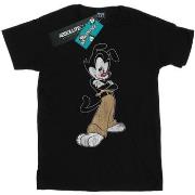 T-shirt Animaniacs BI9214