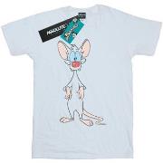 T-shirt Animaniacs Pinky Classic Pose