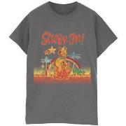 T-shirt Scooby Doo Palm Trees