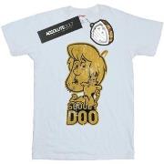 T-shirt Scooby Doo BI49062