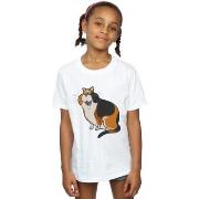 T-shirt enfant Disney Soul Mr Mittens