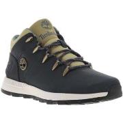 Boots Timberland 22843CHPE24