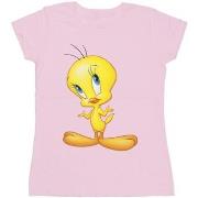 T-shirt Dessins Animés BI28238