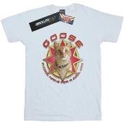 T-shirt enfant Marvel Cool Cat