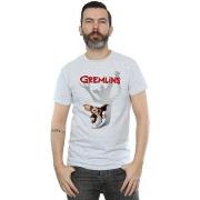 T-shirt Gremlins Gizmo Shadow
