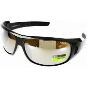 Lunettes de soleil Altitude 2011410BF4