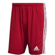 Short adidas GN5771