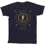 T-shirt enfant Dc Comics Fury Of The Gods