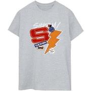 T-shirt Dc Comics Shazam Fury Of The Gods Sticker Spam