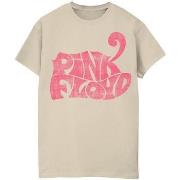 T-shirt Pink Floyd Retro Logo