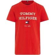 T-shirt enfant Tommy Hilfiger 162981VTPE24