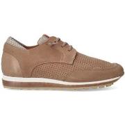 Baskets Cetti BASKETS 1275 NUBUCK CUERO