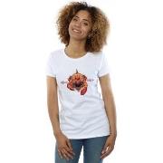 T-shirt Dc Comics BI7904