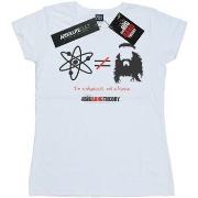 T-shirt The Big Bang Theory I Am A Physicist Not A Hippie