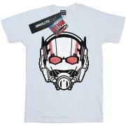 T-shirt enfant Marvel Ant-Man Helmet Distressed