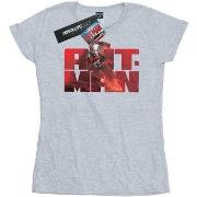 T-shirt Marvel BI7572