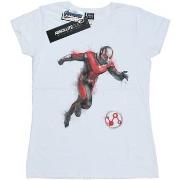 T-shirt Marvel Avengers Endgame Painted Ant-Man