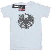 T-shirt Marvel Agents of SHIELD