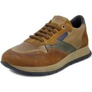 Baskets Exton Homme Chaussures, Sneaker, Cuir, Semelle Amovible - 730C...