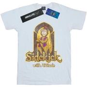 T-shirt Disney Aladdin Movie Abu Sidekick With Attitude