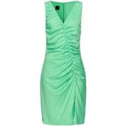 Robe Pinko -