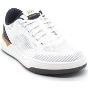 Baskets Skechers -