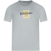 T-shirt Jack &amp; Jones 161548VTPE24