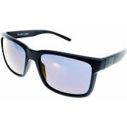 Lunettes de soleil Loubsol L370013