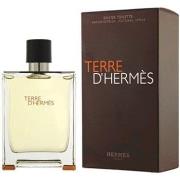 Cologne Hermès Paris Terre D' - eau de toilette - 100ml - vaporisateur