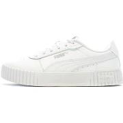 Baskets basses Puma 386185-02