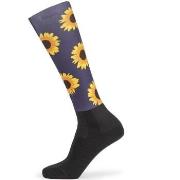 Chaussettes enfant Aubrion Hyde Park