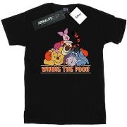 T-shirt enfant Disney Winnie The Pooh Group