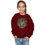 Sweat-shirt enfant Harry Potter BI19976