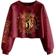 Sweat-shirt Harry Potter Gryffindor Constellation