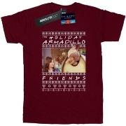 T-shirt Friends Holiday Armadillo