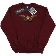 Sweat-shirt Dc Comics Justice League