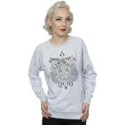 Sweat-shirt Harry Potter Durmstrang Institute