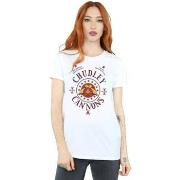 T-shirt Harry Potter Chudley Cannons