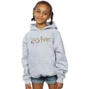 Sweat-shirt enfant Harry Potter Full Colour Logo