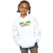 Sweat-shirt enfant Harry Potter Snitch Wings Pastels