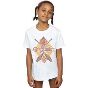 T-shirt enfant Harry Potter Gryffindor Lozenge