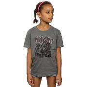 T-shirt enfant Harry Potter BI20697