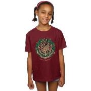 T-shirt enfant Harry Potter BI20946