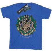 T-shirt enfant Harry Potter BI20946
