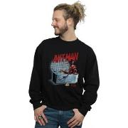 Sweat-shirt Marvel Ant-Man And The Wasp Bathing Ant