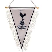 Accessoire sport Tottenham Hotspur Fc TA10450