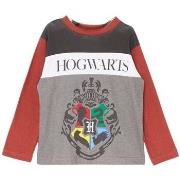 T-shirt enfant Harry Potter T-shirt
