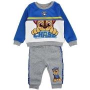 Jeggins / Joggs Jeans Paw Patrol Jogging