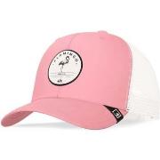 Casquette Hanukeii Flamingo Truck