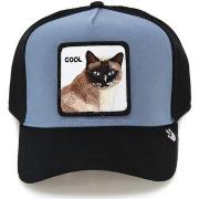 Casquette Goorin Bros Cool Cat